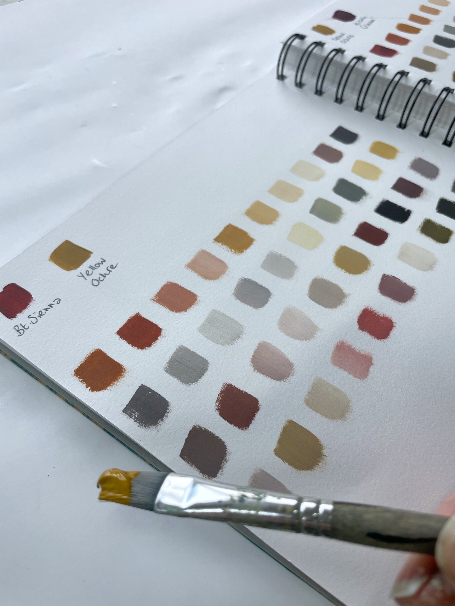 Creative Confidence - COLOUR - Tawnamoor, Bodmin - 1/04/26 - Carla Jennings Art