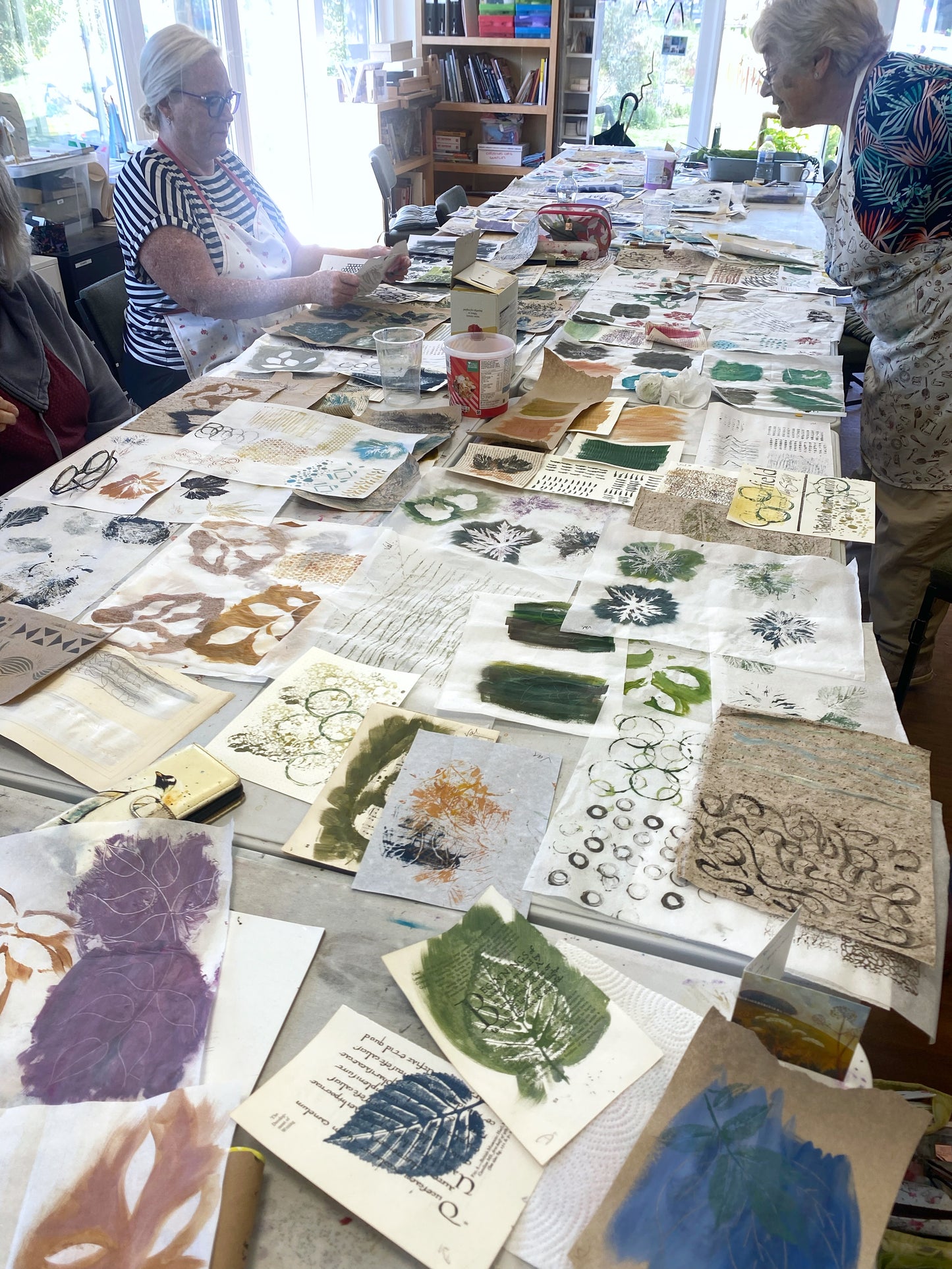 Botanical Mixed Media Workshop - Lerryn - 13/07/26