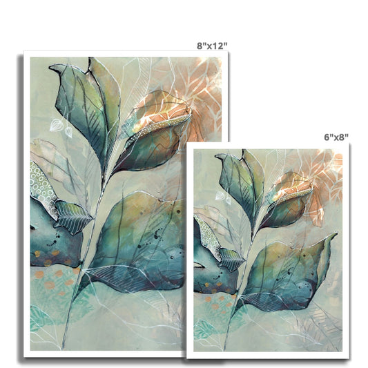 The Lost Forest I C-Type Print